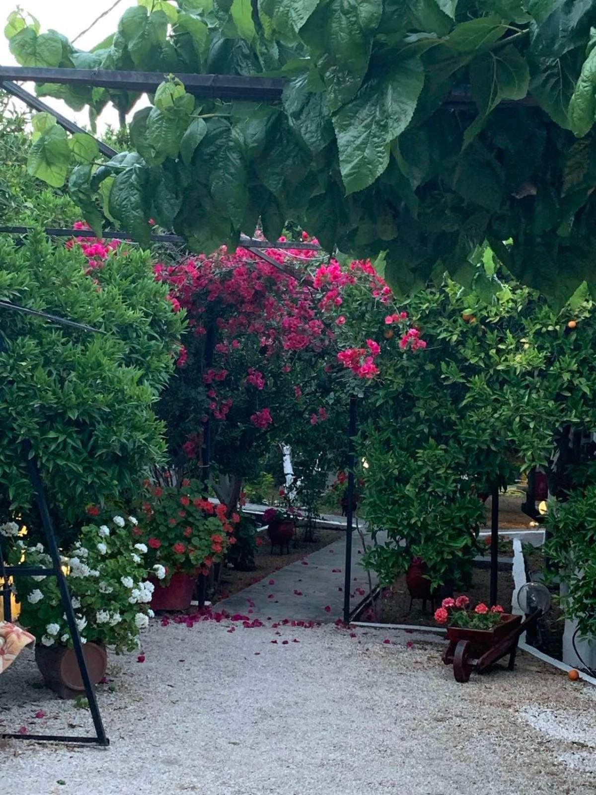 Cottonclub Villas تولو المظهر الخارجي الصورة
