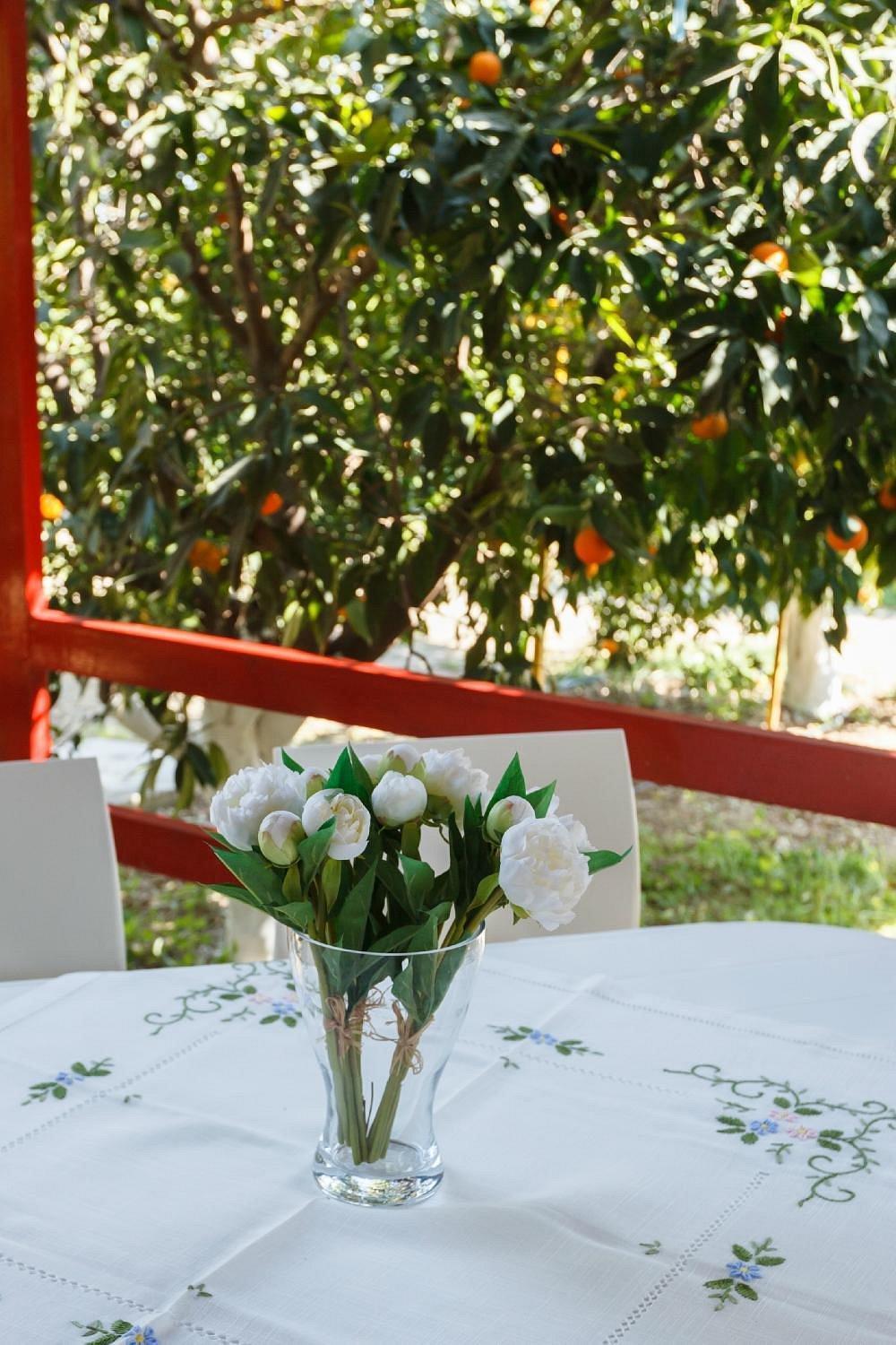 Cottonclub Villas تولو المظهر الخارجي الصورة
