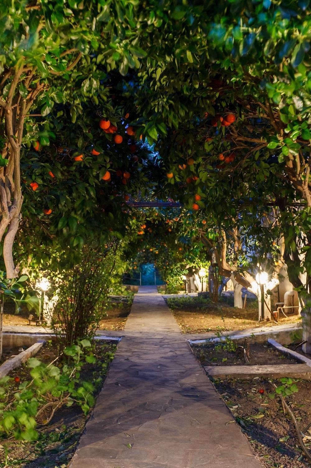 Cottonclub Villas تولو المظهر الخارجي الصورة