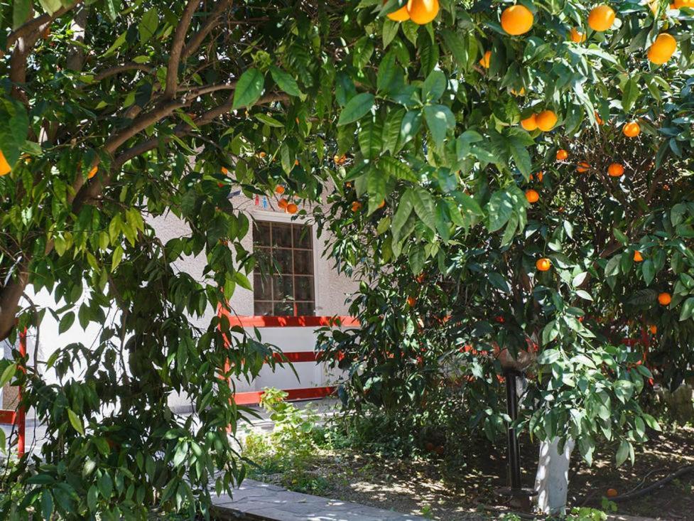 Cottonclub Villas تولو المظهر الخارجي الصورة