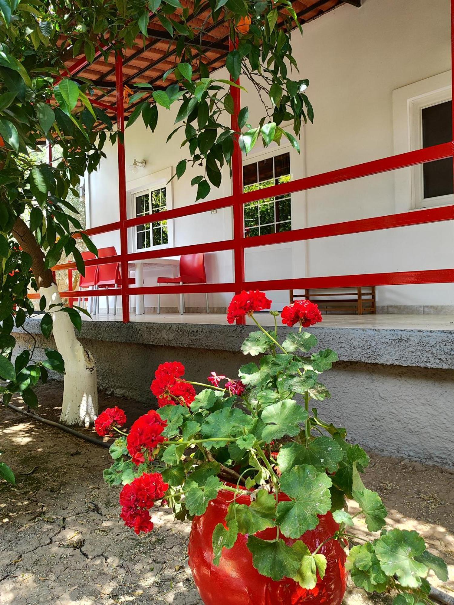 Cottonclub Villas تولو المظهر الخارجي الصورة