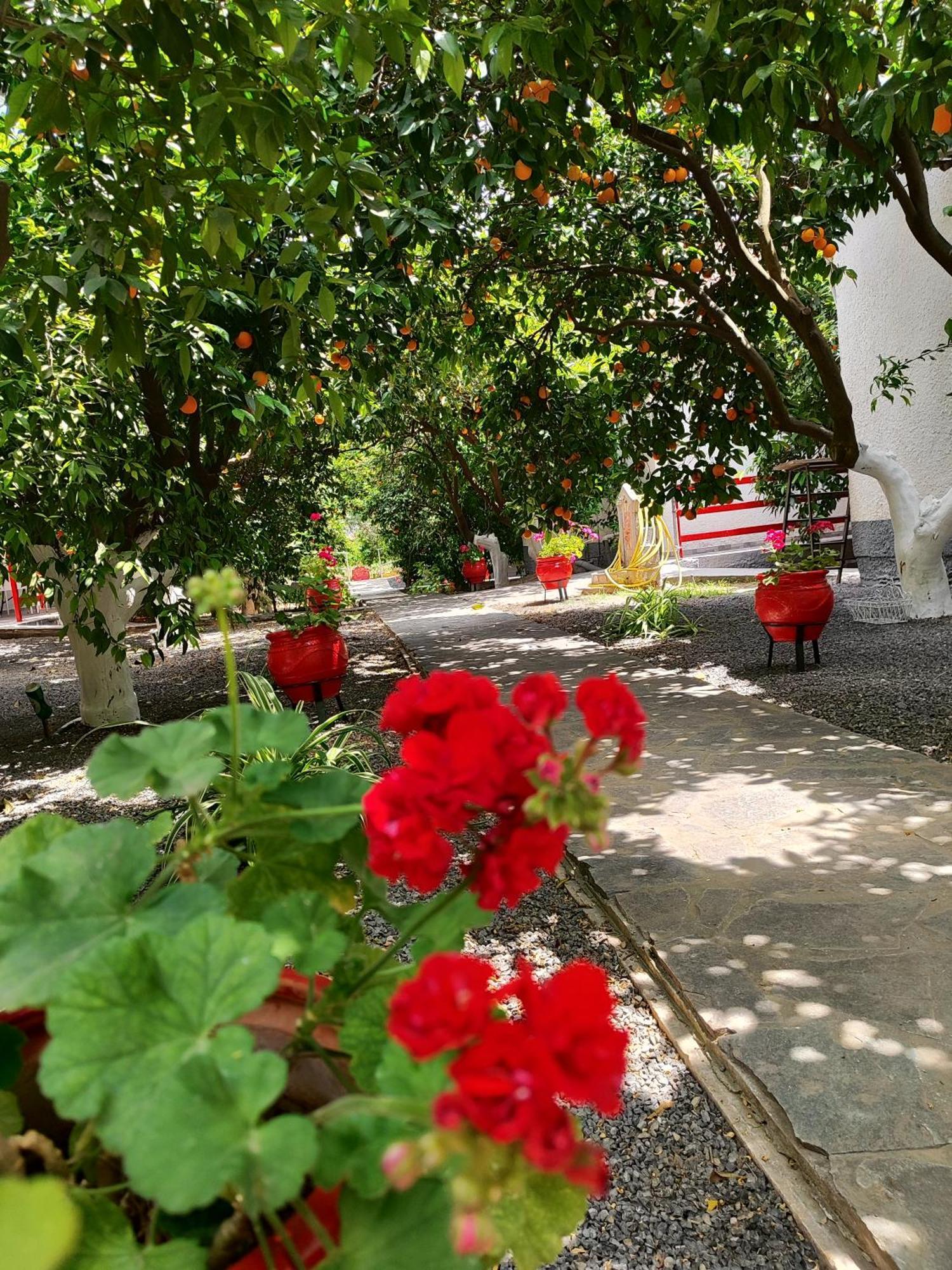 Cottonclub Villas تولو المظهر الخارجي الصورة