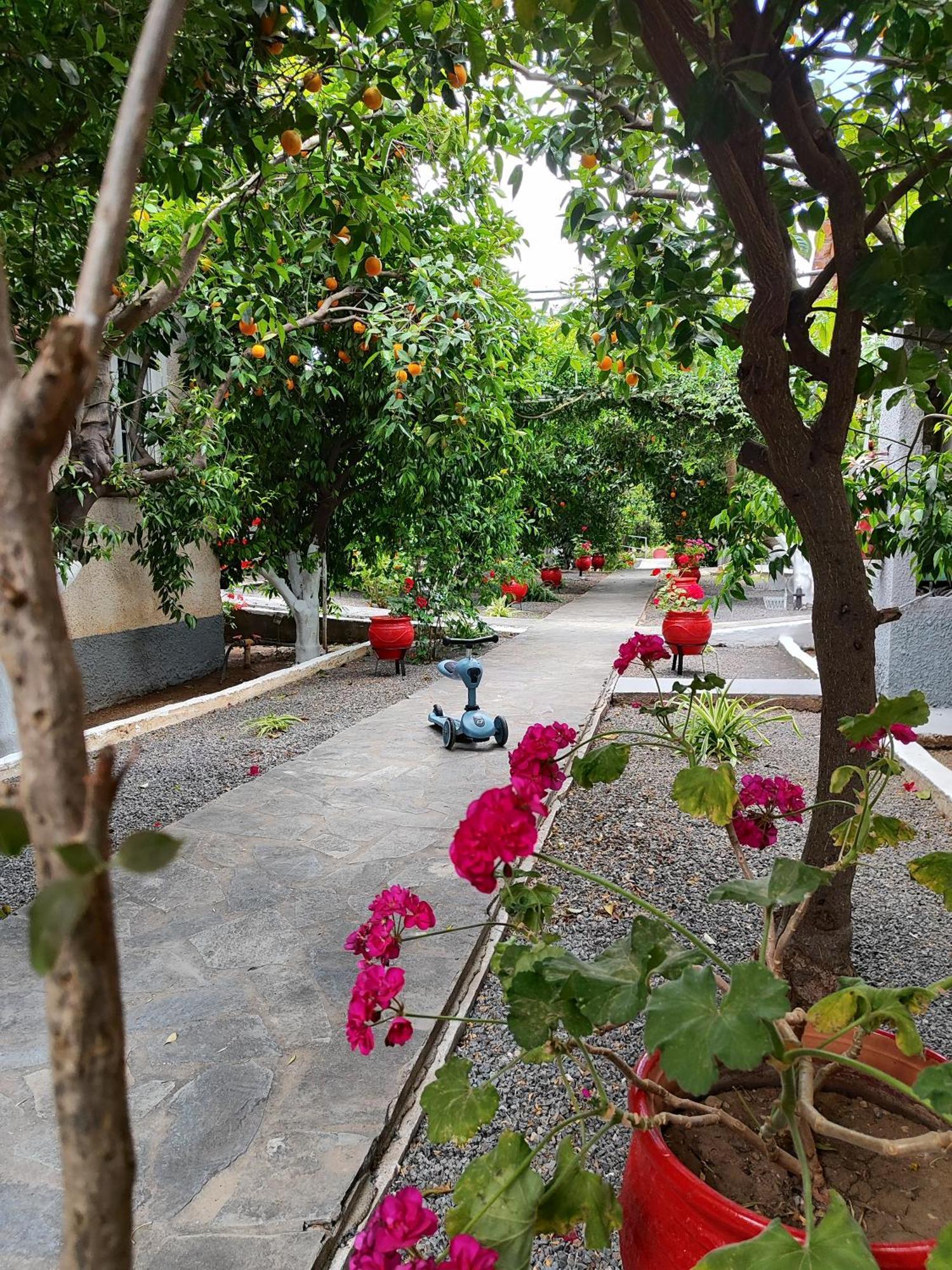 Cottonclub Villas تولو المظهر الخارجي الصورة