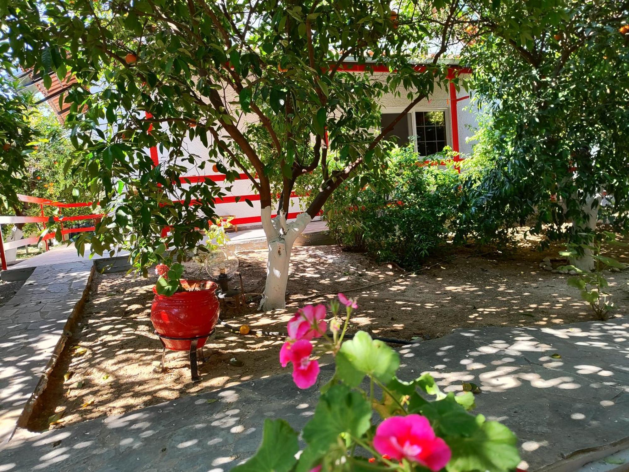 Cottonclub Villas تولو المظهر الخارجي الصورة