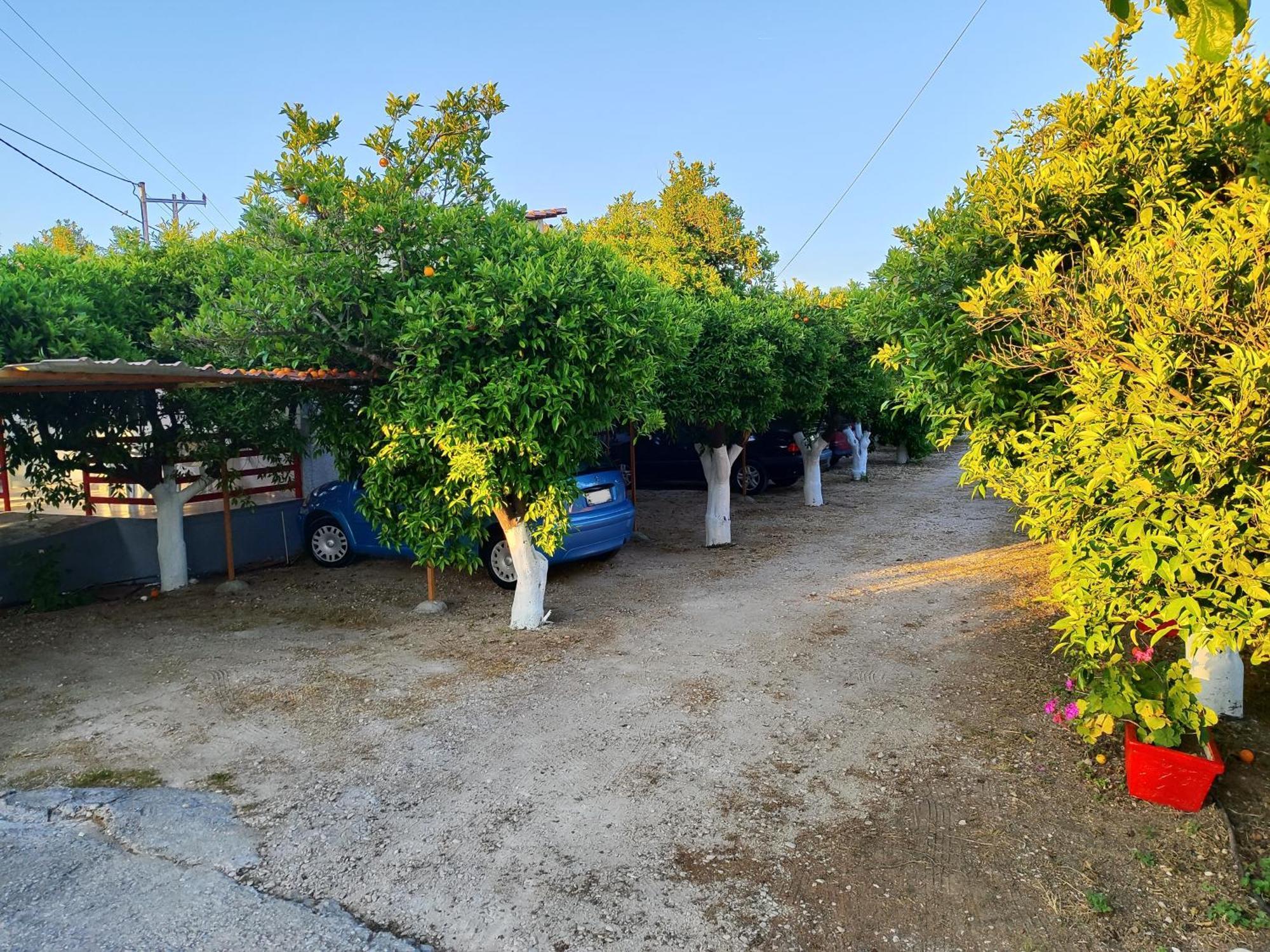 Cottonclub Villas تولو المظهر الخارجي الصورة