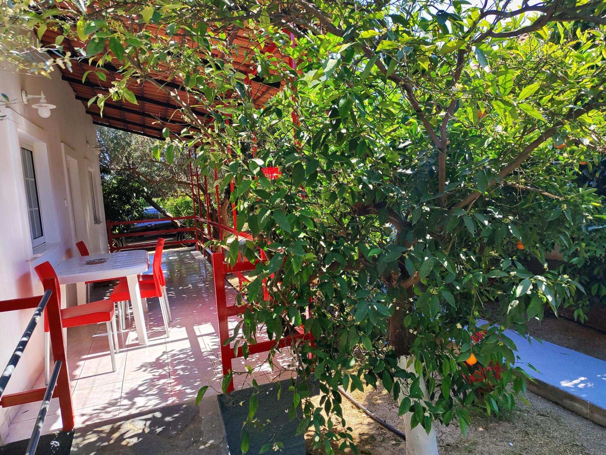 Cottonclub Villas تولو المظهر الخارجي الصورة