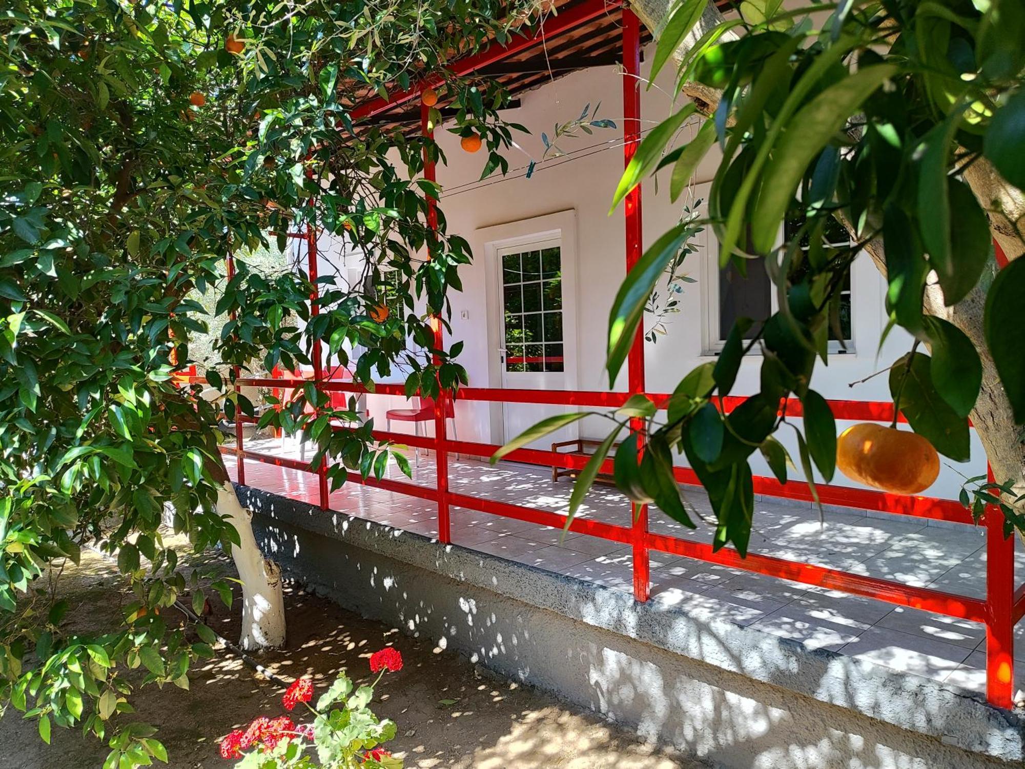 Cottonclub Villas تولو المظهر الخارجي الصورة
